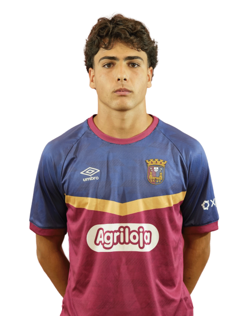 Vicente Ribeiro
