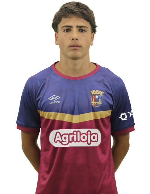 Vicente Ribeiro